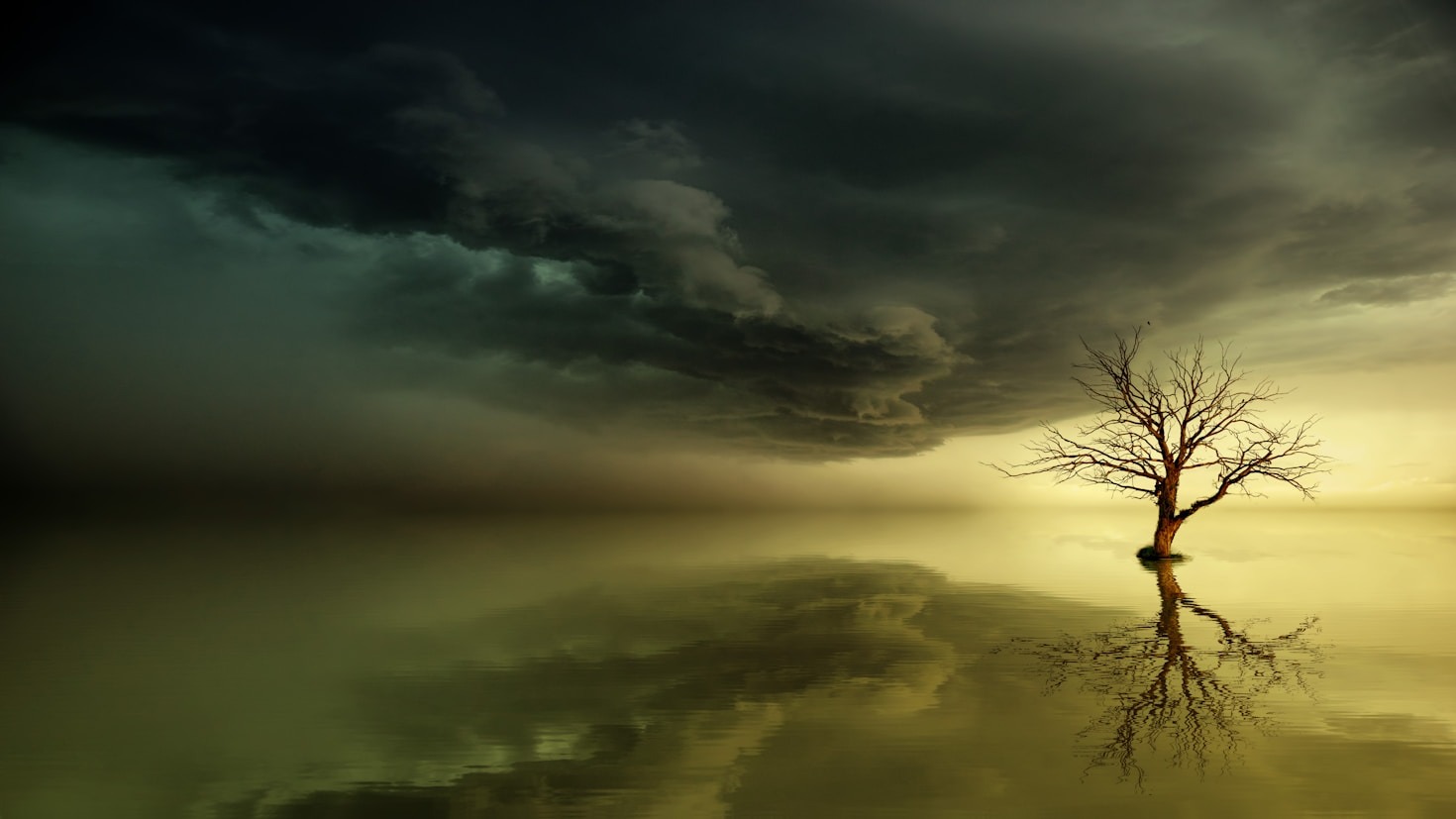 Neutralność typografii w sztuce wizualnej